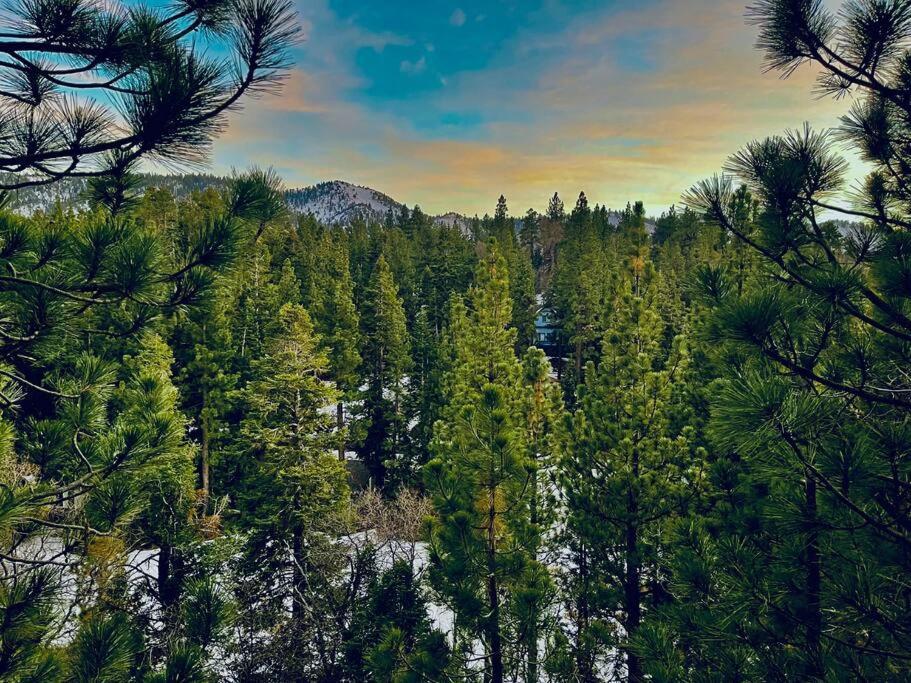 Luxury Joyful Bear Cabin With View, Big Bear Lake Villa Dış mekan fotoğraf