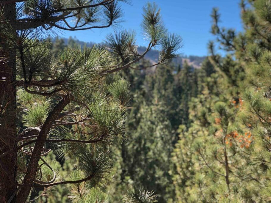 Luxury Joyful Bear Cabin With View, Big Bear Lake Villa Dış mekan fotoğraf