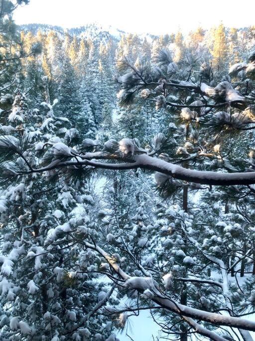 Luxury Joyful Bear Cabin With View, Big Bear Lake Villa Dış mekan fotoğraf