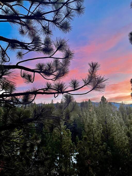 Luxury Joyful Bear Cabin With View, Big Bear Lake Villa Dış mekan fotoğraf