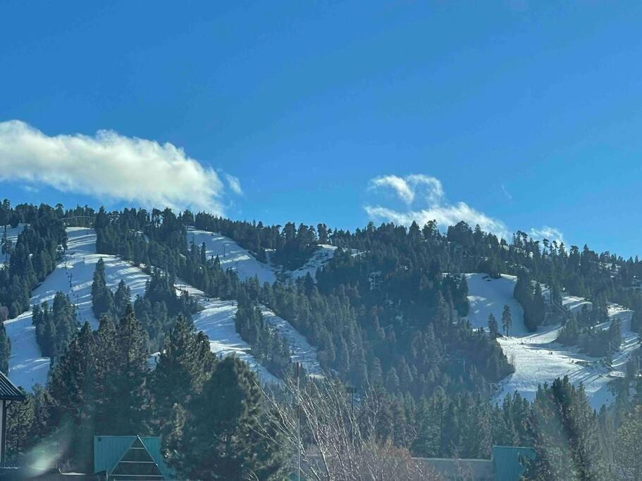 Luxury Joyful Bear Cabin With View, Big Bear Lake Villa Dış mekan fotoğraf